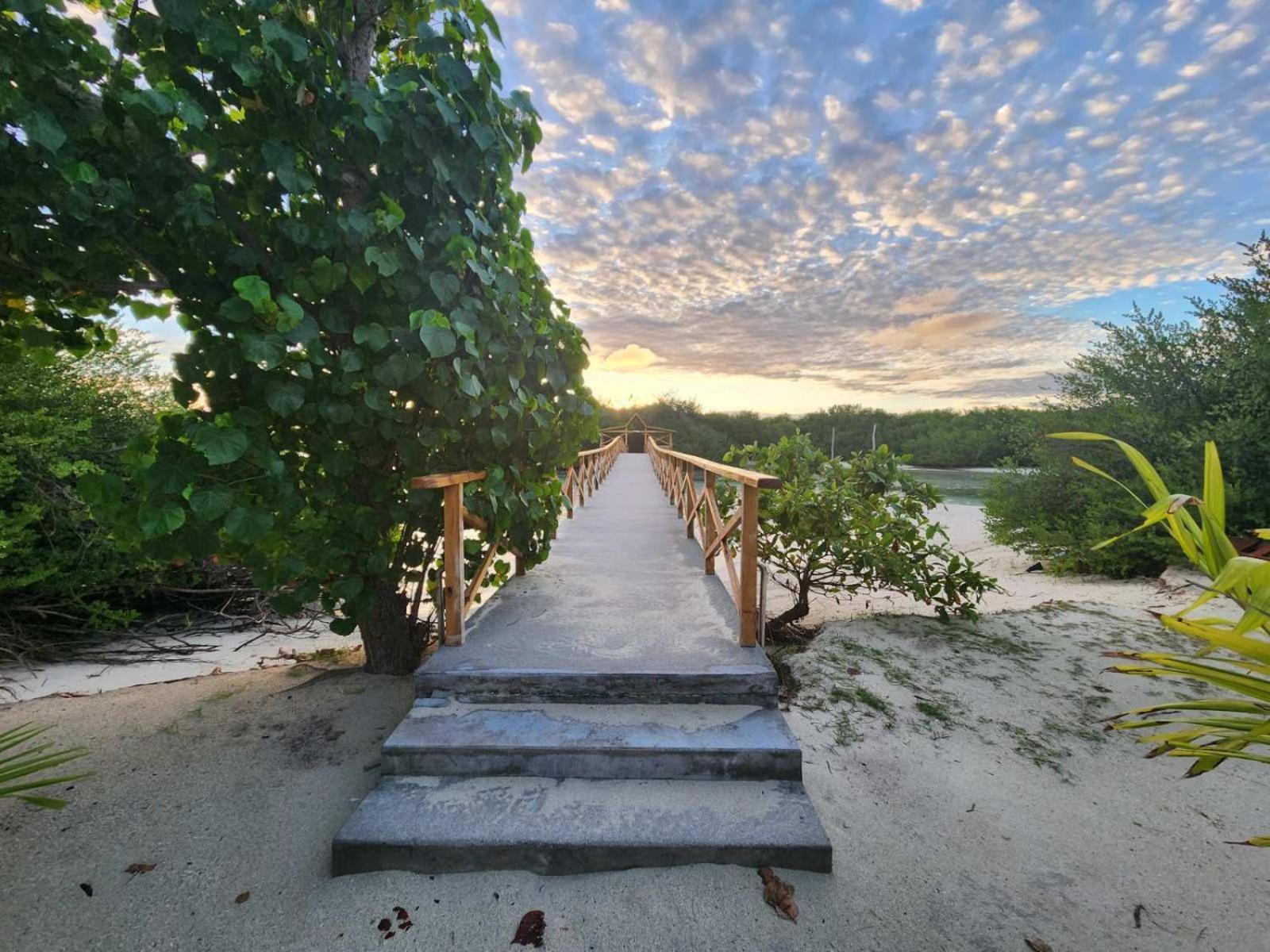 Surf Deck Hotel Thulusdhoo Exterior foto